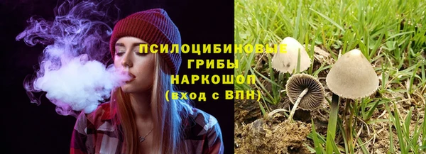 таблы Бородино