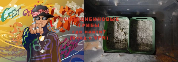 таблы Бородино